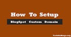 Setup custom domain